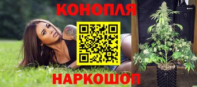 Альфа ПВП Кимры