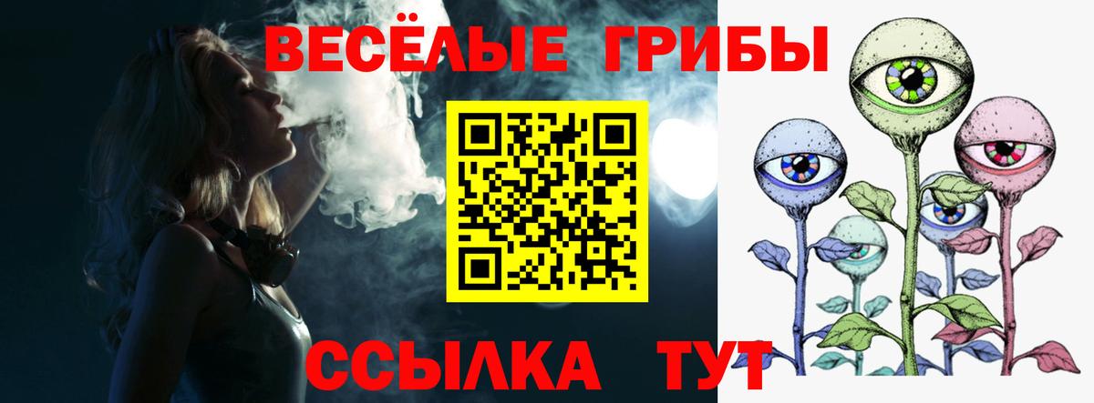Галлюциногенные грибы MAGIC MUSHROOMS  Вход с VPN  наркошоп  Котовск  Псилоцибиновые грибы мухоморы 